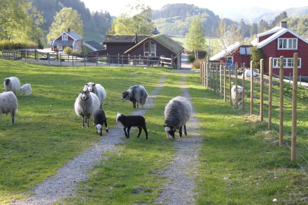 Skjerping Gardshus, Villa Lonevåg Dış mekan fotoğraf